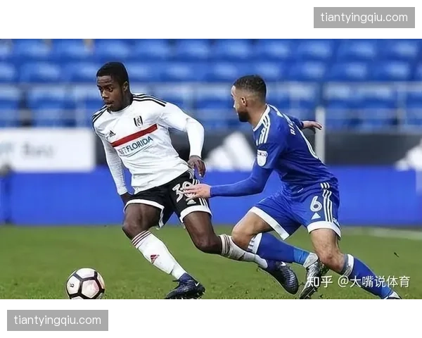 富勒姆租借市场操作务实 鲍伯加盟提升边路进攻多样性